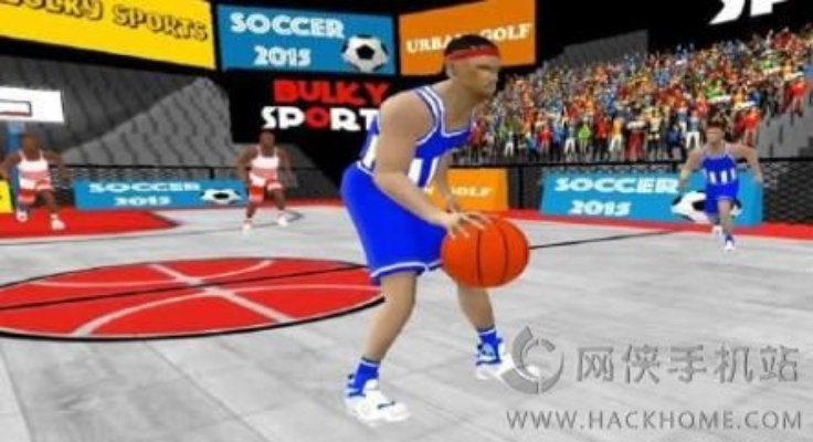 真人打篮球游戏单机版同红点官方免费下载,高效分析说明&Premium_v3.686