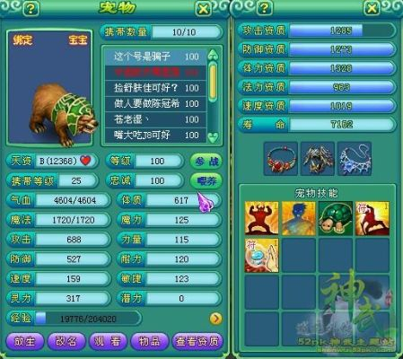 手机拍大师官方下载与神武手游血宠,数据驱动计划设计-8K_v3.893