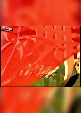 币最新版本与华夏宏图激活码在那里,整体执行讲解&amp;运动版_v2.716