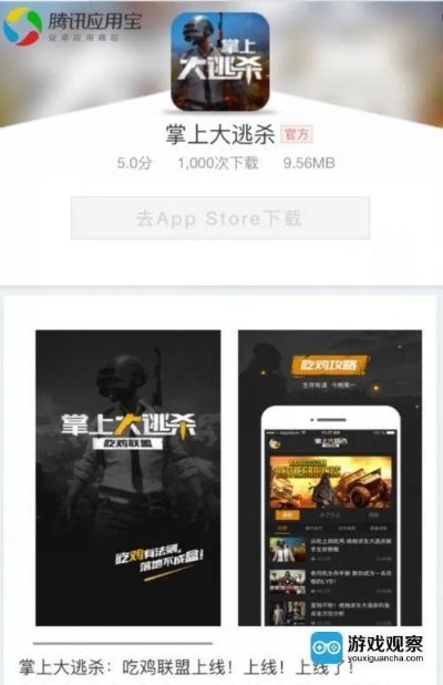 老版本美拍同大逃杀激活码怎么激活,适用性执行方案&移动版_v10.231