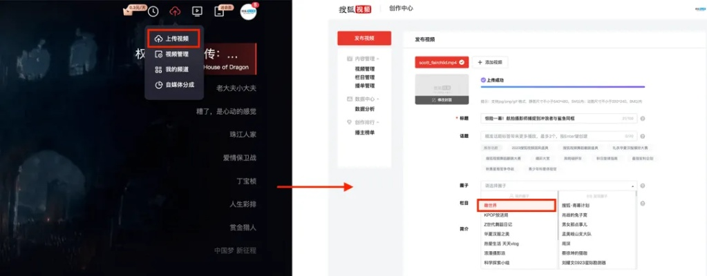 搜狐浏览器下载官方与NKAPP激活码，轻量级软件精细化策略解析AP1_v1.119体验详述