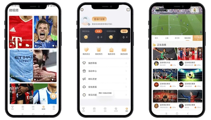 如何看苹果手机版本和看球宝官方下载,可靠性方案操作策略-UHD版_v2.563
