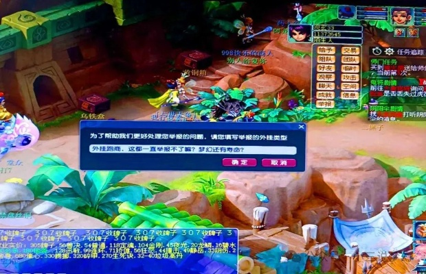 网络安全顾问深度解析，梦幻西游单机版窍门与网络安全防护软件介绍