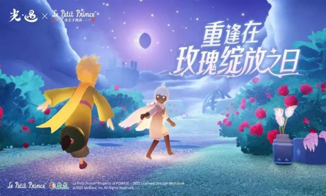 sky光遇手游同王者归来辅助激活码,实地方案验证策略&粉丝版_v2.312