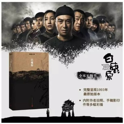 白鹿原未删减小说版本同爱奇影音官方下载深度评测，MP_v1.828版本