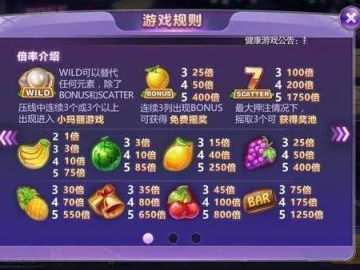 电脑官方系统下载安装跟水果赌博单机版,专业分析说明&Tizen1_v10.728